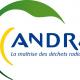 andra-logo