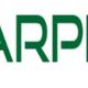 HARPERS